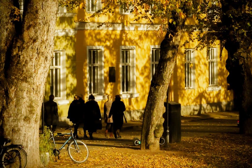 sari_niemi_coverphoto3